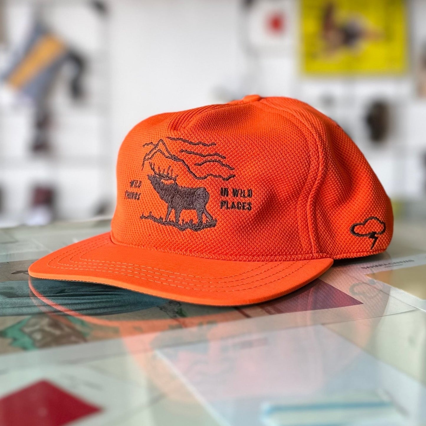 Ampal Creative - Strapback Wild Places Safery Orange